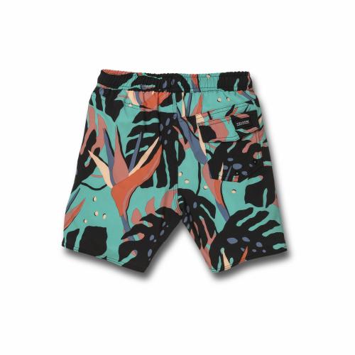 VOLCOM MENTAWAIS EW TRUNK mys C2512030 -  04-03-2020/1583335425c2512030_mys_b.jpg