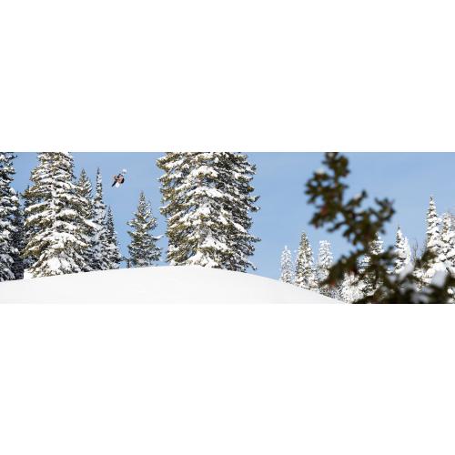 LIB TECH TRAVIS RICE PRO 2017 -  09-09-2016/14734257881617-lib-tech-snowboarding-d-travis-rice-action3.jpg