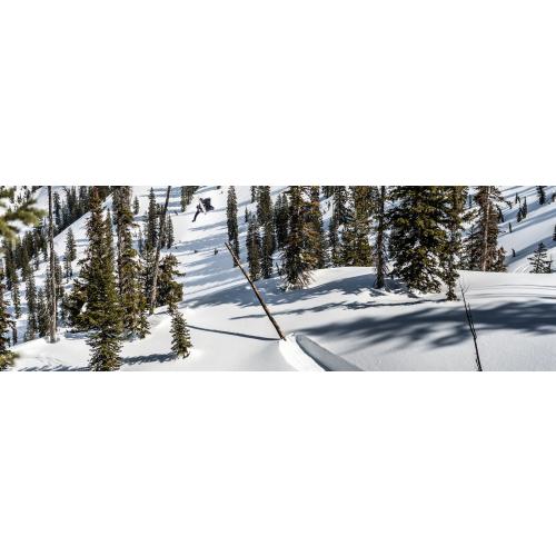 LIB TECH TRAVIS RICE PRO 2017 -  09-09-2016/14734258011617-lib-tech-snowboarding-d-travis-rice-treejam.jpg