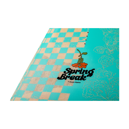 RONIX SPRING BREAK TRUE FLEX 26_27 -  09-09-2025/1757428866ronix-park---spring-break---2026---inset-1.png