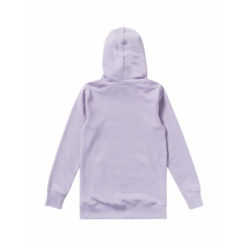 VOLCOM TOWER P_O FLEECE H4152604 LVA -  16-09-2025/1758056245h4152604_lva_fl-b.jpg