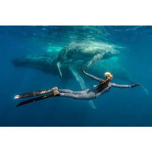 XCEL AXIS PANT 2MM whs WO223918 -  28-02-2019/1551369429xcel_oceanramsey_whalesharkprint_large.jpg