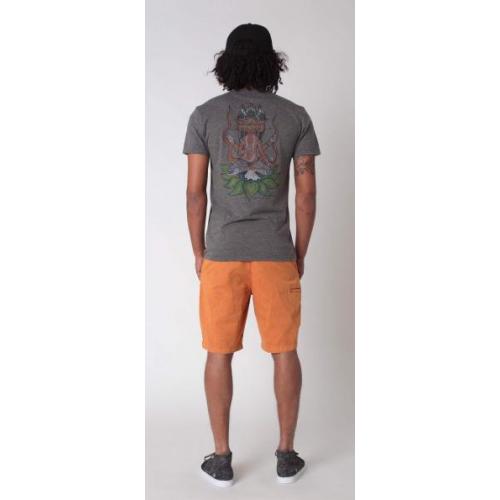 VOLCOM FROZEN REGULAR CHINO MIX SHORT mpl A0911453 -  8249_6.jpg